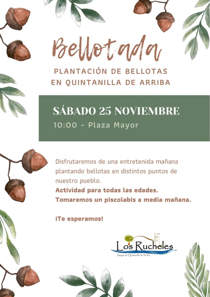 Bellotada Noviembre 2023