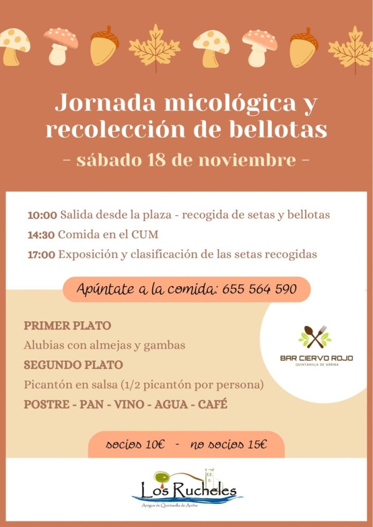Jornadas Micológicas Noviembre 2023